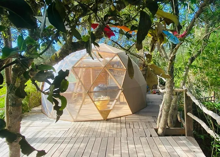 Eco-resort Domo Maestra Los Llanos (Tenerife)