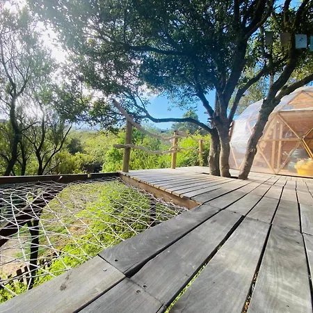 Eco-resort Domo Maestra *